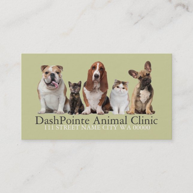 Carte De Visite Clinique vétérinaire pour animaux de compagnie Ref (Devant)