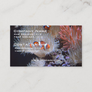 Carte De Visite Clownfish