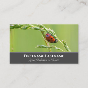 Carte De Visite coccinelle positive et chanceuse pour zen et l'édu