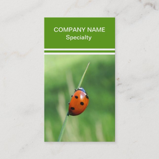 Carte De Visite Coccinelle sur une brin d'herbe (Devant)
