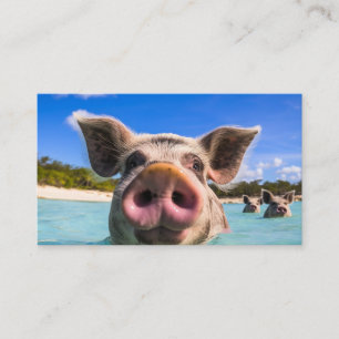 Carte De Visite Cochon Mignon de Natation Exuma Bahamas