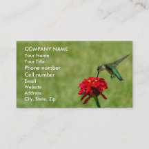 Colibri et Zinnia rouge