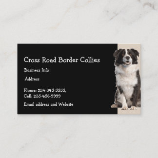 Carte De Visite Collies à la frontière personnalisées Chien animal
