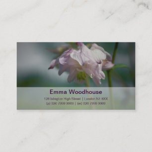 Carte De Visite Columbine Akelei