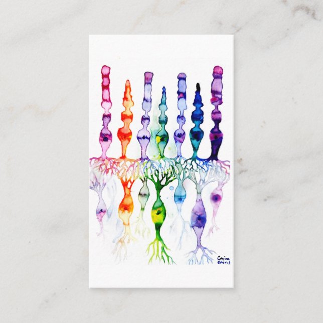 Carte De Visite Cone cells rod cells and bipolar neurons of retina (Devant)