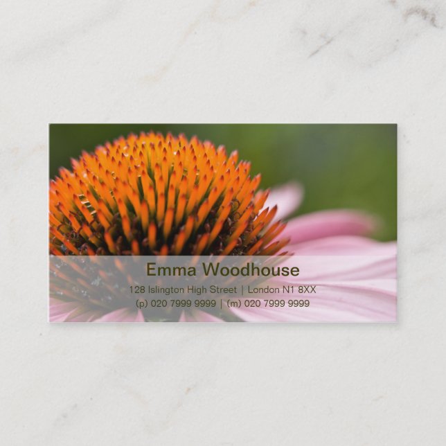 Carte De Visite Coneflower pourpre | Sonnenhut (Devant)