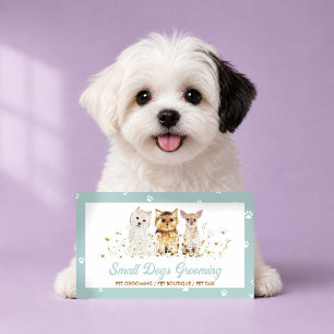 Carte De Visite Consultant en Comportement de Chien Vert Formation