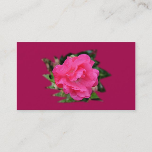 carte de visite coopération, rose rose (Devant)