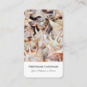 Carte De Visite Coquillages maritimes pétoncles experts des agents