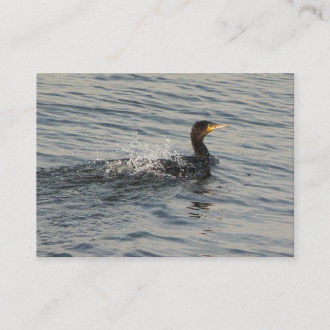 Carte De Visite Cormorant Apprendre à nager (Devant)