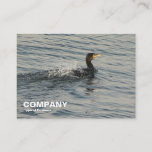 Carte De Visite Cormorant Apprendre à nager