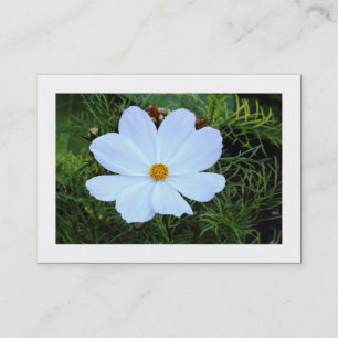 Carte De Visite Cosmos blanc (bordé)