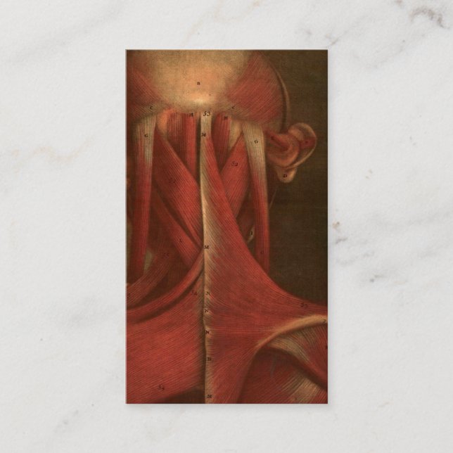 Carte De Visite Cou vintage de l'anatomie | (Devant)
