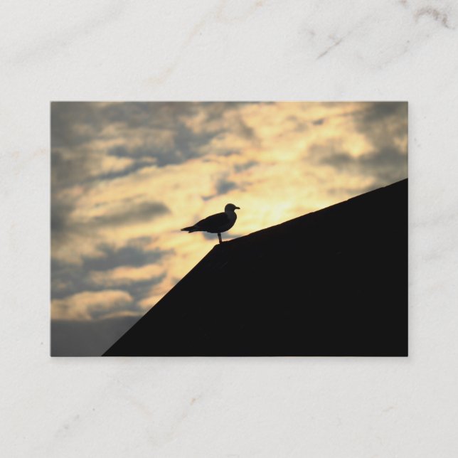 Carte De Visite Coucher de soleil de goélands argentés (Devant)
