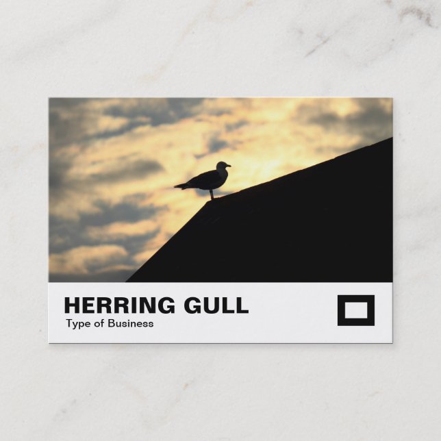 Carte De Visite Coucher de soleil de goélands argentés (Devant)
