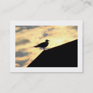 Carte De Visite Coucher de soleil sur des goélands argentés (bordé