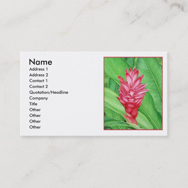 Carte De Visite Couleur pour aquarelle de gingembre rouge (Devant)