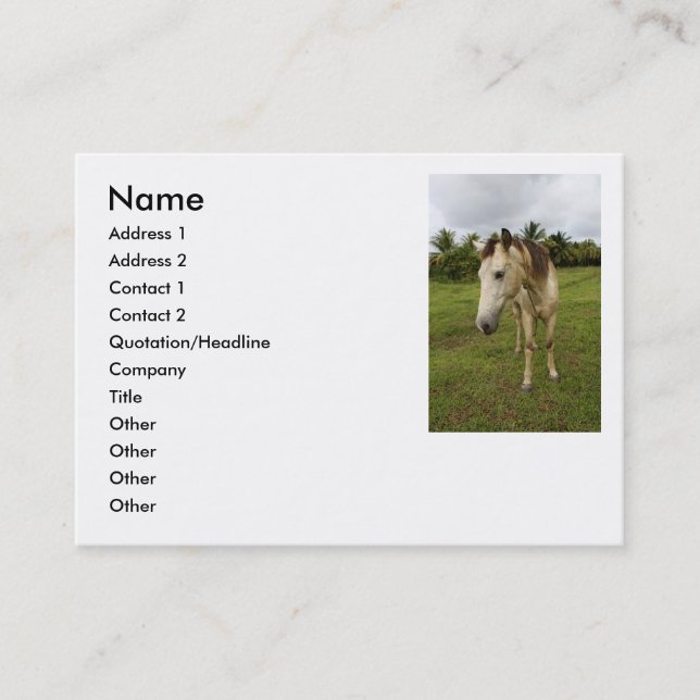 Carte De Visite Course, (Devant)