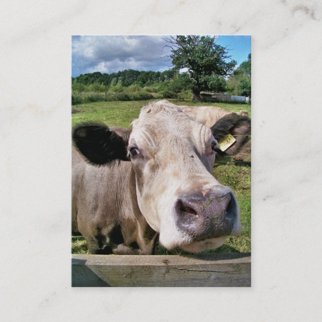 Carte De Visite COW Cute (Devant)