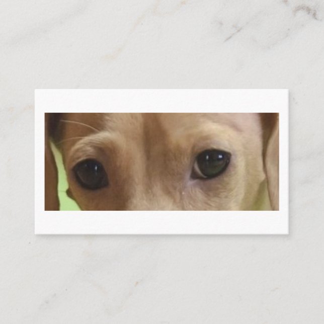 Carte De Visite Crème Dachshund Eyes (Devant)