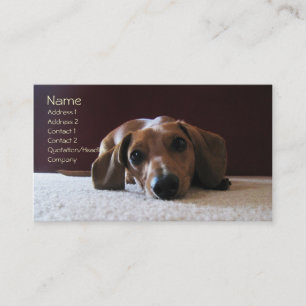 Carte De Visite crockettsperfectpic, nom, adresse 1, adresse 2…