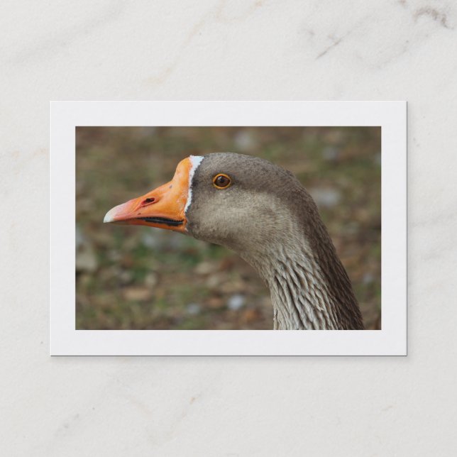 Carte De Visite Croix d'oie de cygne gris (frontière) (Devant)