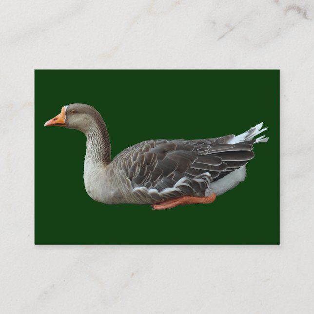 Carte De Visite Croix d'oie de cygne gris (isolée) (Devant)
