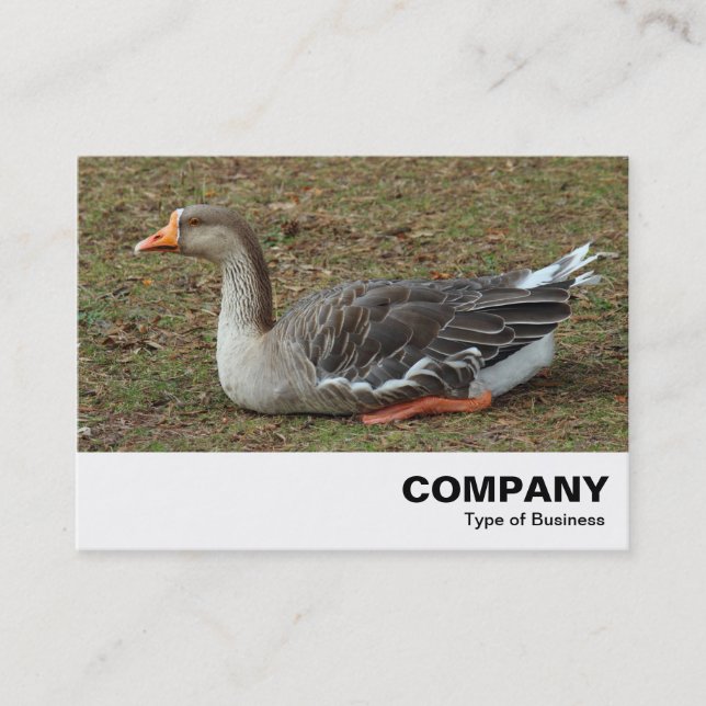 Carte De Visite Croix du cygne gris (Devant)