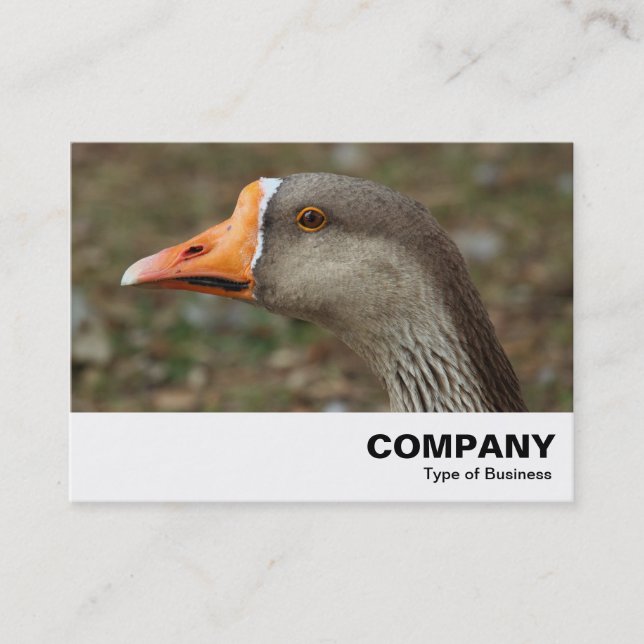 Carte De Visite Croix du cygne gris (Devant)