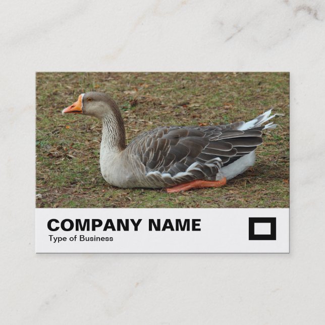 Carte De Visite Croix du cygne gris (Devant)