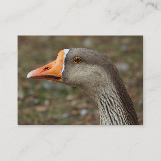 Carte De Visite Croix du cygne gris (Devant)