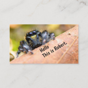 Carte De Visite Curiosity Intrigued Hello (Image originale) ©