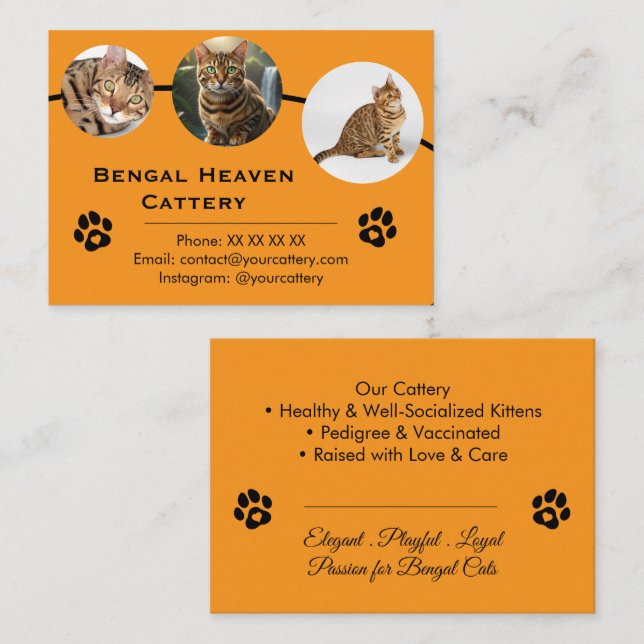 Carte De Visite Customizable Bengal Cattery Business Card Template (Devant / Derrière)