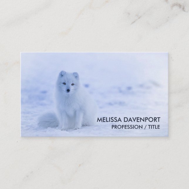 Carte De Visite Cute Arctic Fox sur Snowy Winter Arrière - plan (Devant)