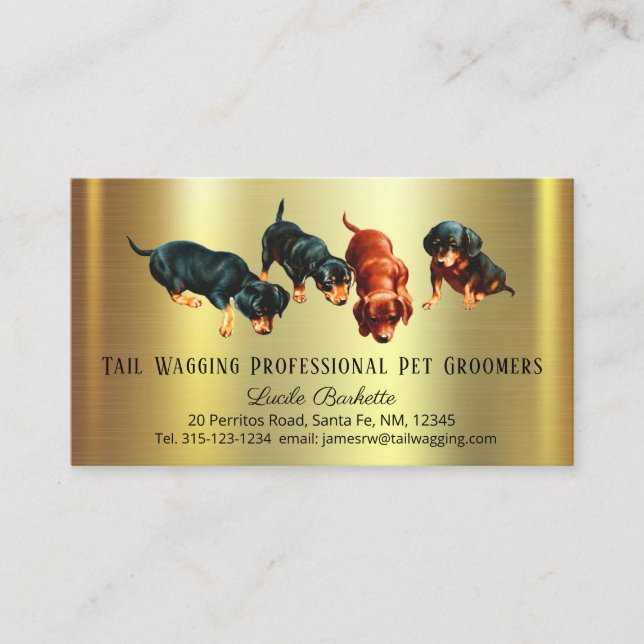 Carte De Visite Cute Dachshund Doxie Pups Animal Grooming Gold Chi (Devant)