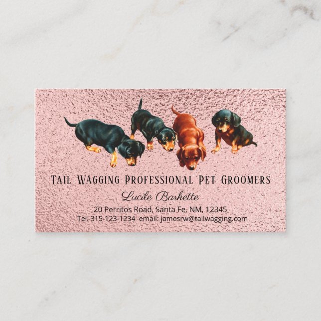Carte De Visite Cute Dachshund Pups Animal Grooming Chic Rose Or (Devant)