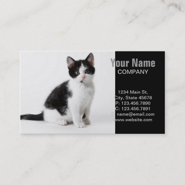 Carte De Visite Cute Funny chaton noir et blanc (Devant)