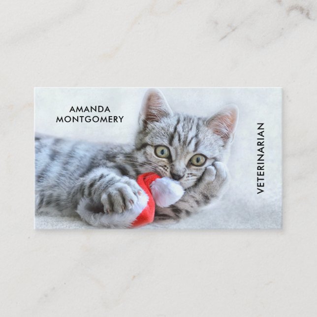 Carte De Visite Cute Grey Tabby Chat Noël Casquette Noël Noël Noël (Devant)