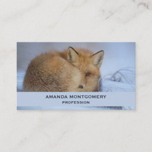Carte De Visite Cute Little Fox Curling Up Winter Photo