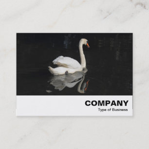 Carte De Visite Cygne
