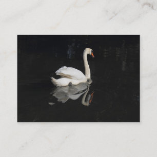Carte De Visite Cygne