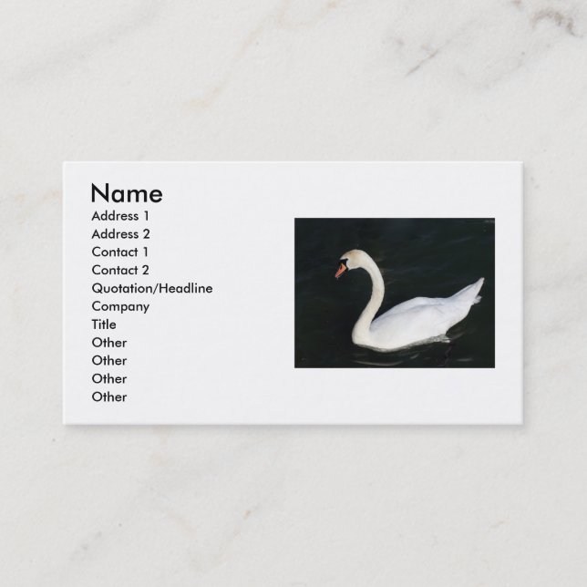 Carte de visite cygne (Devant)
