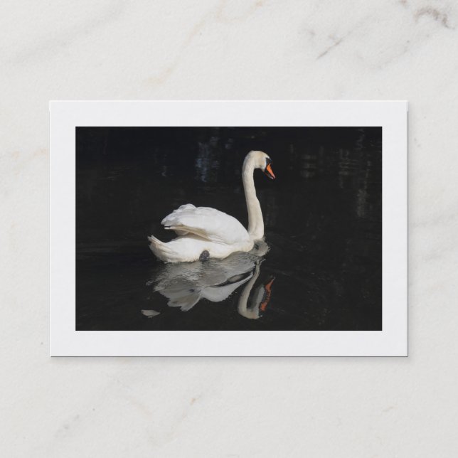 Carte De Visite Cygne (Bordé) (Devant)