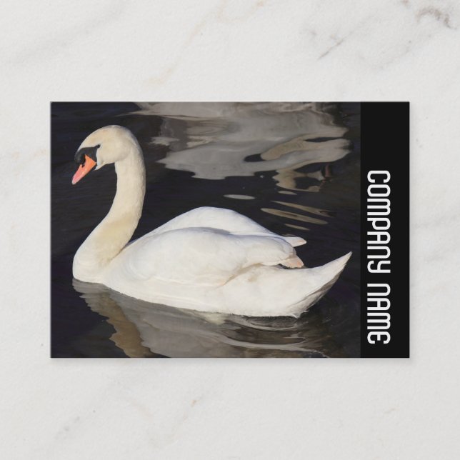 Carte De Visite Cygne muet - bande latérale (Devant)