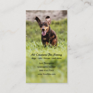 Carte de visite Dachshund de disquette