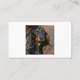 Carte De Visite dachshund noir et tan