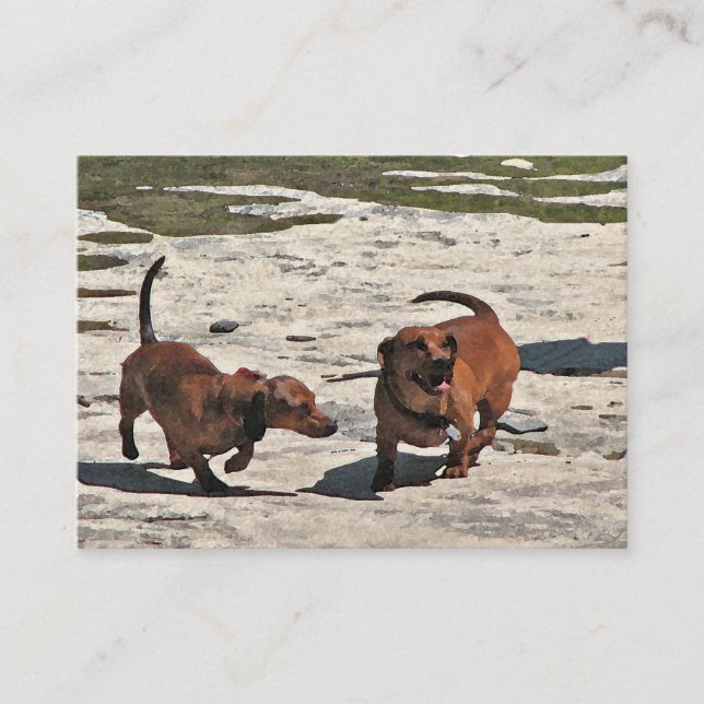 Carte De Visite Dachshunds ATC (Devant)