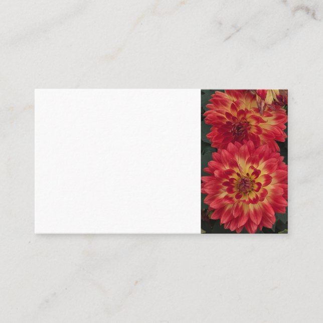 Carte De Visite Dahlia (Devant)