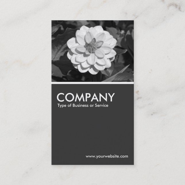 Carte De Visite Dahlia 'David Howard' - 80pc Grey (Devant)