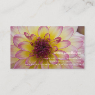 Carte De Visite Dahlia de Bourgogne, jaune et blanc